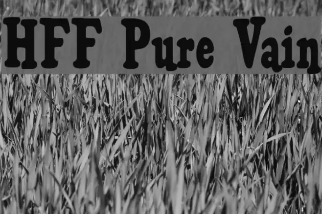 HFF Pure Vain Font examples