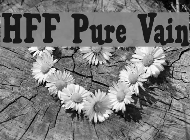 HFF Pure Vain Font examples
