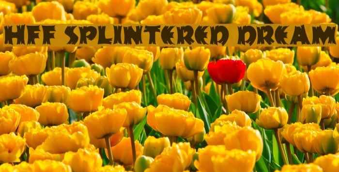 HFF Splintered Dream Schriftart examples