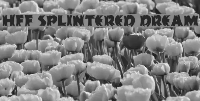 HFF Splintered Dream Font examples