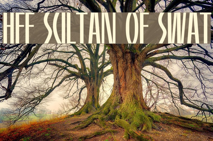 HFF Sultan of Swat Font examples