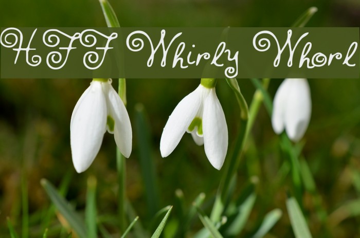 HFF Whirly Whorl Font examples