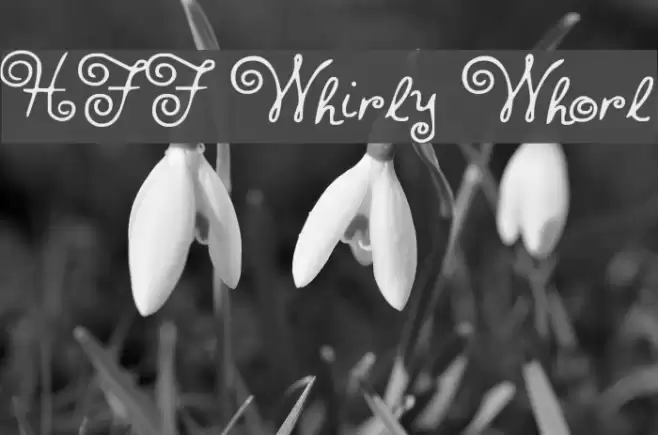 HFF Whirly Whorl Polices examples