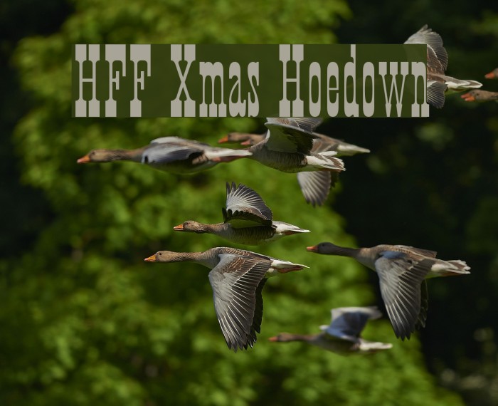 HFF Xmas Hoedown Font examples