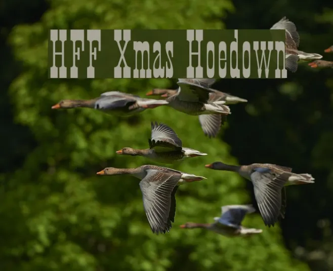 HFF Xmas Hoedown Example 1