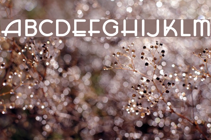 HFF Zeldom Zen Font examples