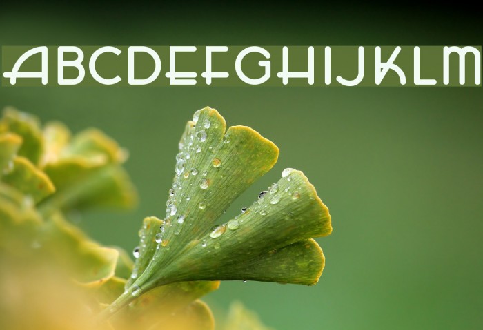 HFF Zeldom Zen Font examples