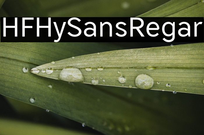 HFHySans_Regular Example 1
