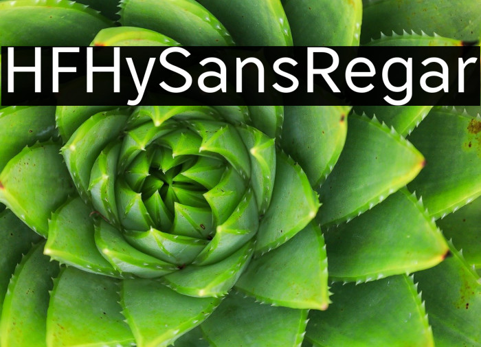 HFHySans_Regular Example 2