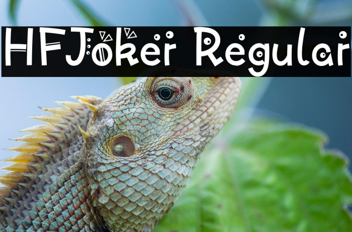 HFJoker Regular Example 2