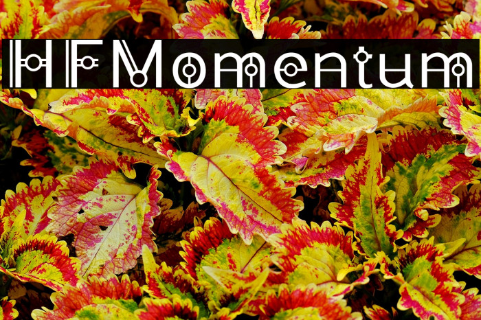 HFMomentum Example 2