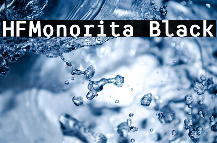 HFMonorita Black Example 1