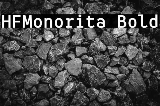 HFMonorita Bold Font examples