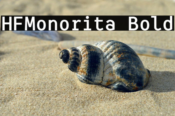 HFMonorita Bold Example 2