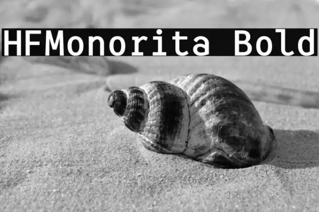 HFMonorita Bold Font examples