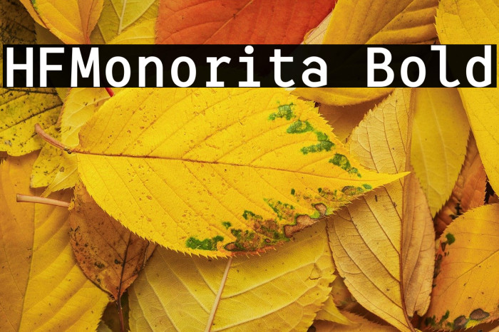 HFMonorita Bold Example 3