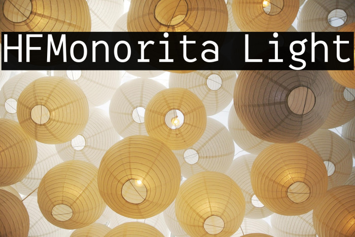 HFMonorita Light Example 1
