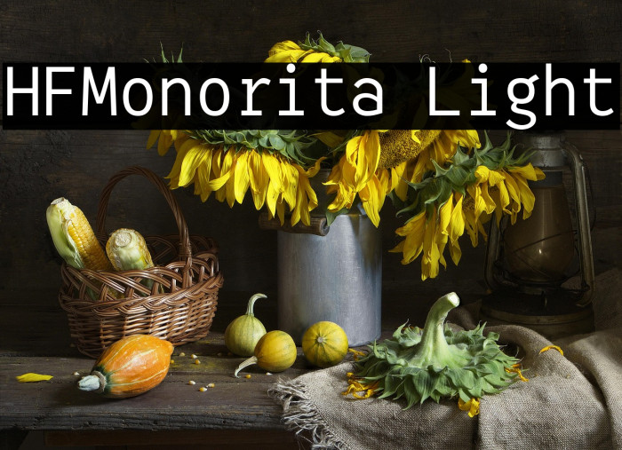 HFMonorita Light Example 3
