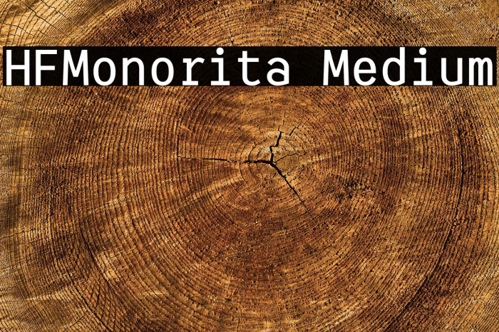 HFMonorita Medium Example 1
