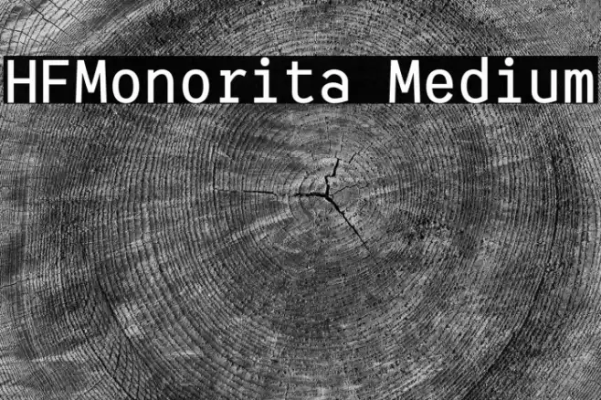 HFMonorita Medium Font examples