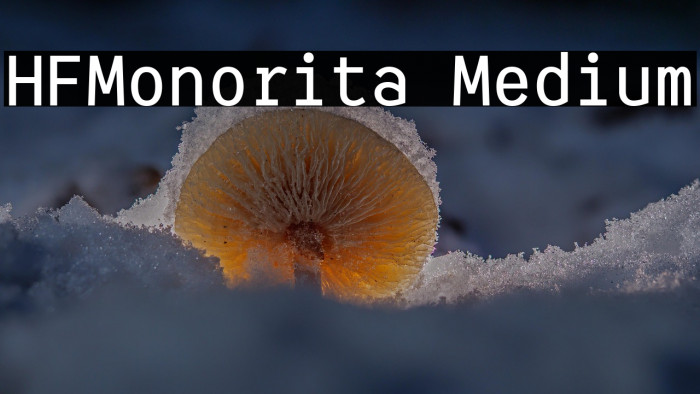 HFMonorita Medium Example 2