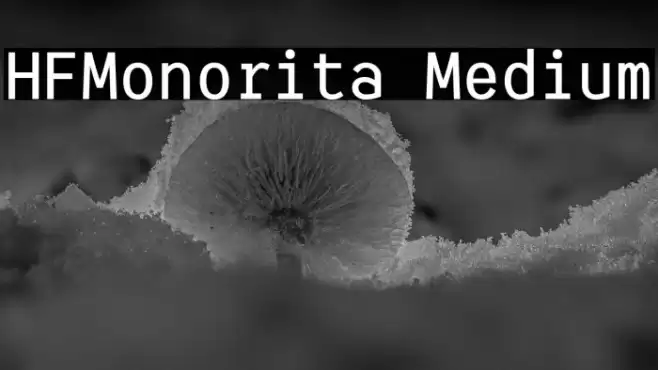 HFMonorita Medium Font examples