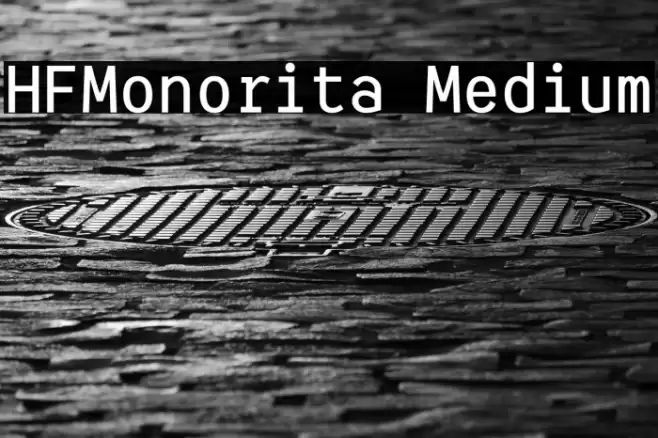 HFMonorita Medium Font examples