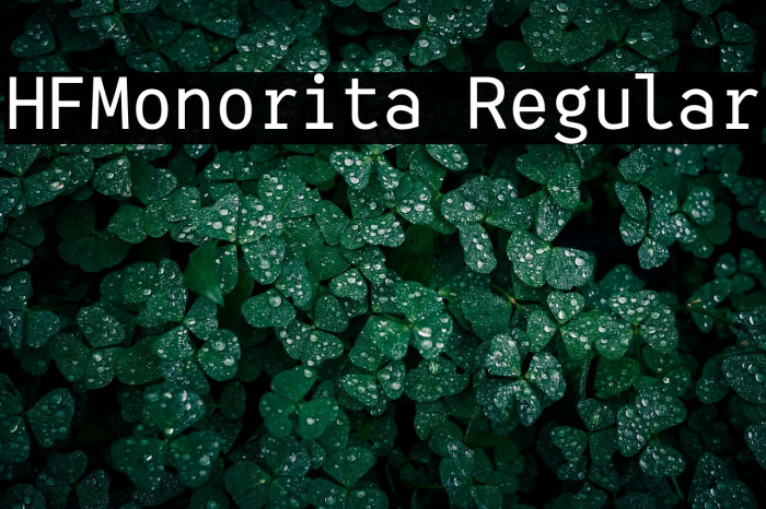 HFMonorita Regular Example 1