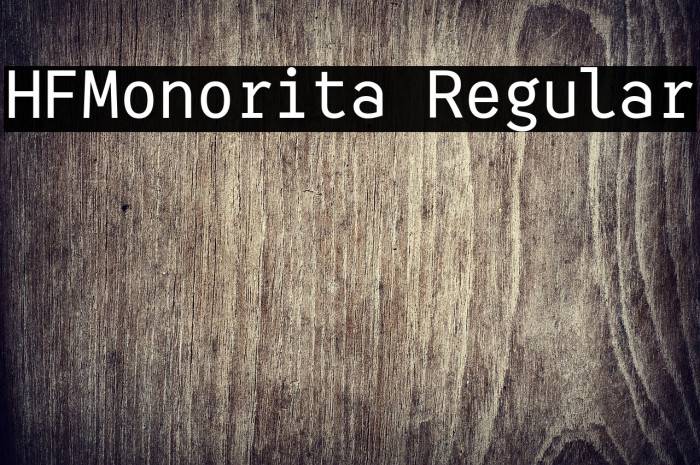 HFMonorita Regular Example 2