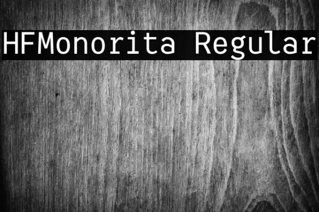 HFMonorita Regular Font examples