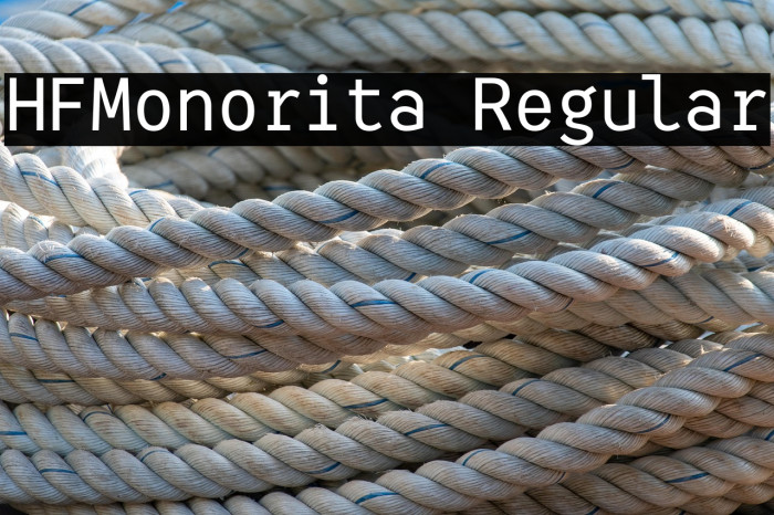 HFMonorita Regular Example 3