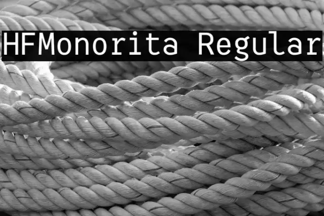 HFMonorita Regular Font examples