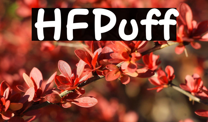 HFPuff Example 1
