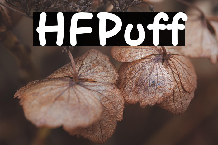 HFPuff Example 3