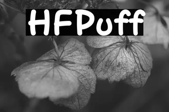 HFPuff خط examples