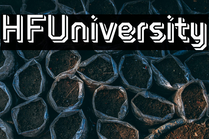 HFUniversity Example 1