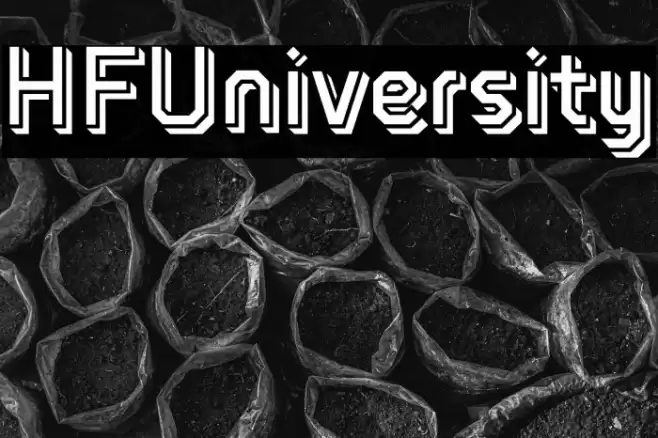 HFUniversity Schriftart examples
