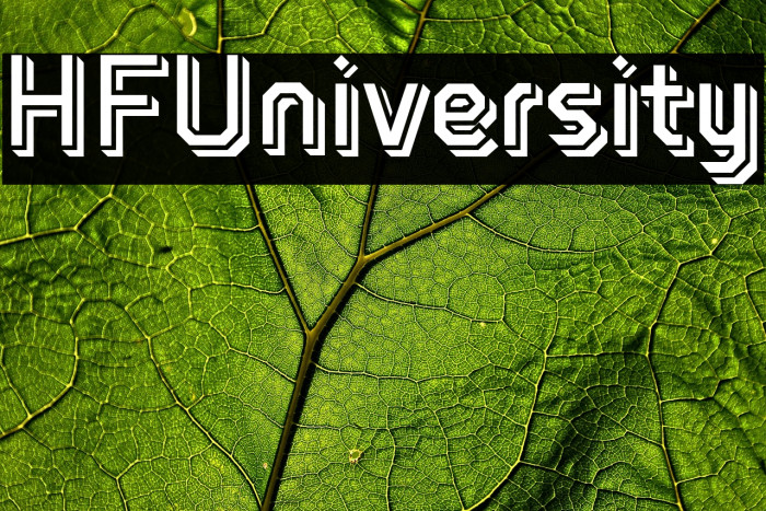 HFUniversity Example 3