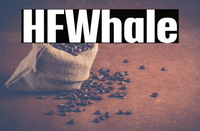 HFWhale Example 1