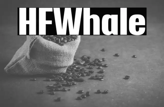 HFWhale Polices examples