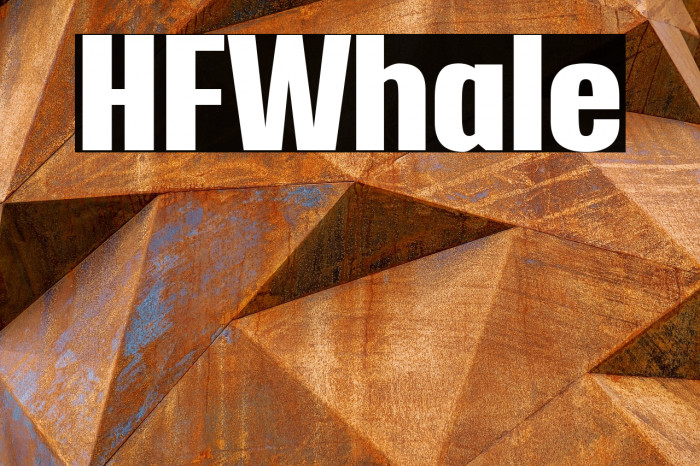 HFWhale Example 3