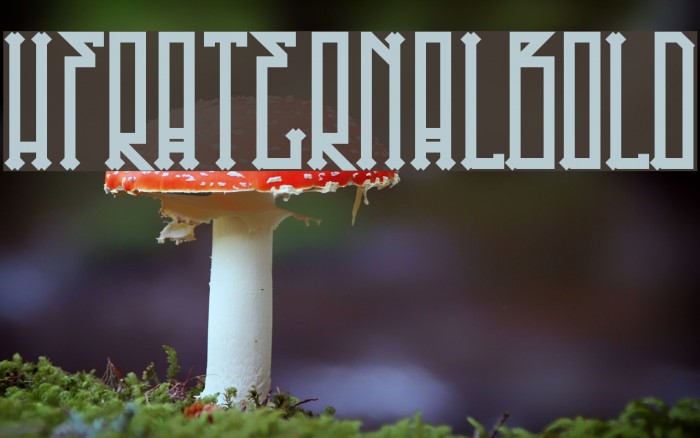HFraternal-Bold Font examples