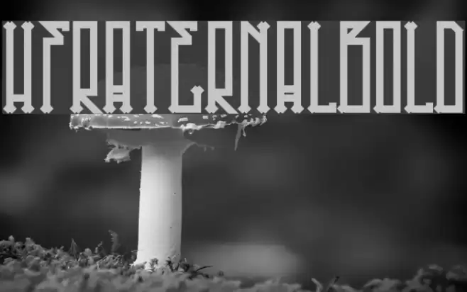 HFraternal-Bold Font examples