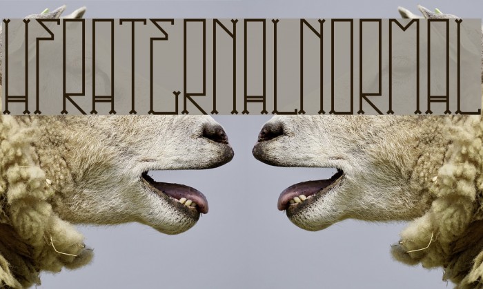 HFraternal-Normal Font examples