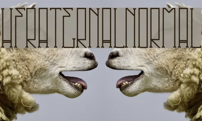 HFraternal-Normal Example 3