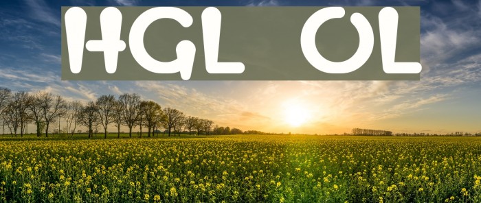 HGL OrangeLigh Font examples