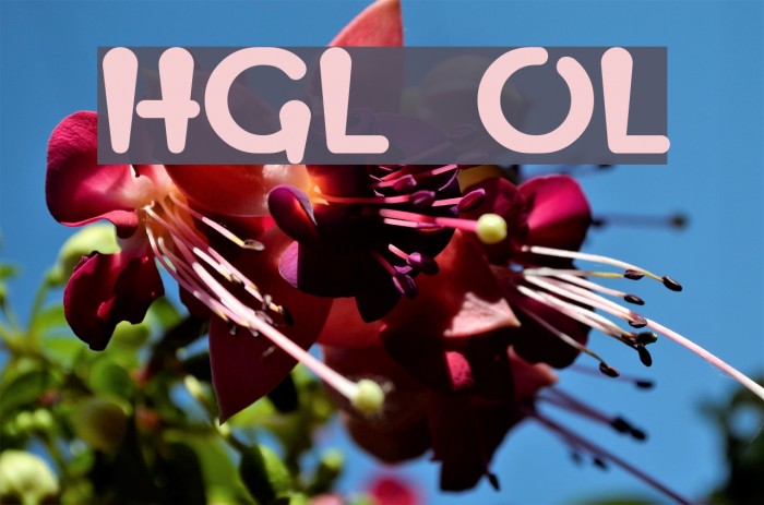 HGL OrangeLigh Font examples