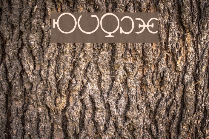 HGODCipher Example 2