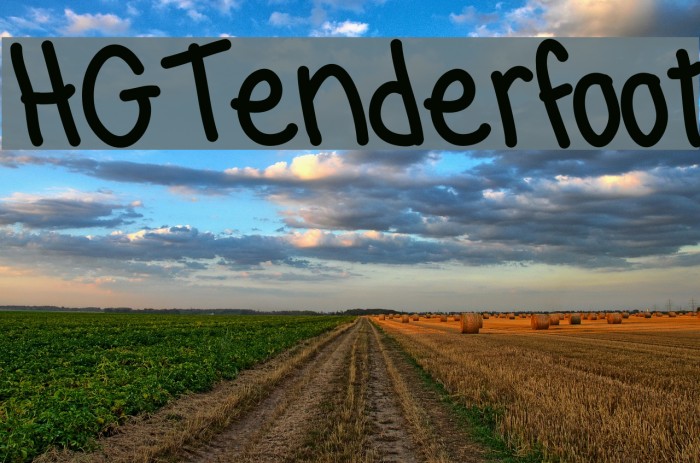 HGTenderfoot Font examples