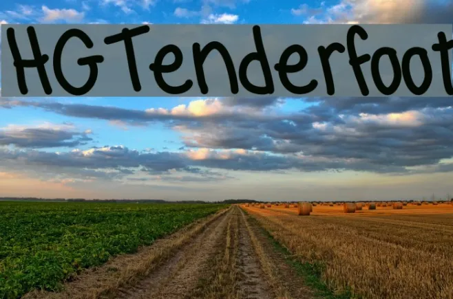 HGTenderfoot Example 3